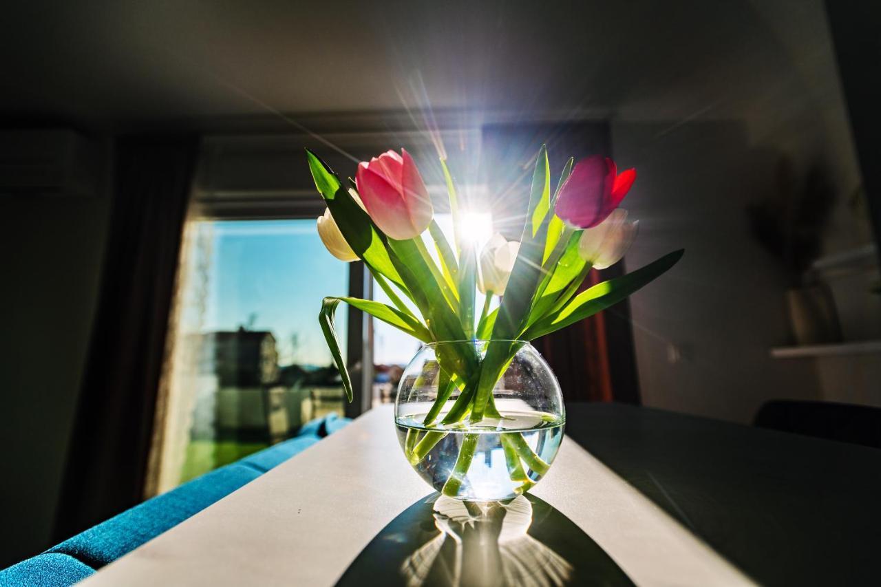 Holiday Apartment Zadar - With Summer Balcony And Parking Exteriör bild